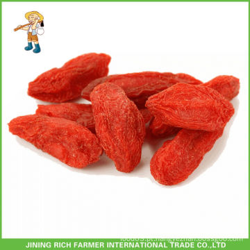 Ningxia Certified secos Goji Berry